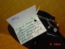 Jasper Turquoise Necklace & Pierced Earrings by Cynthia Jean