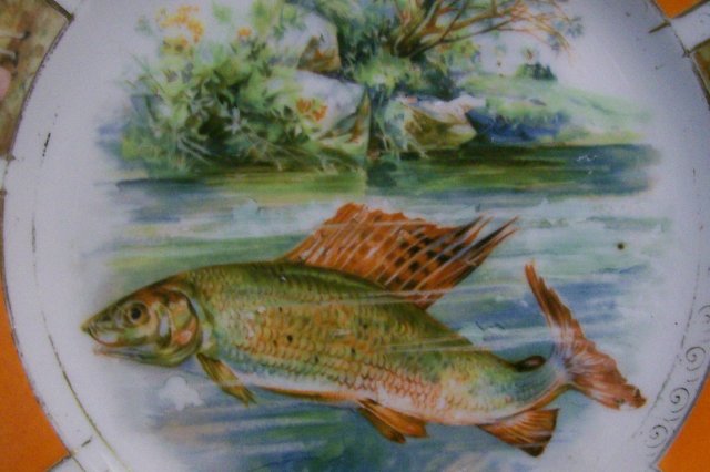 Victoria Czechoslovakia Ceramic Fish Plate 8 5/8