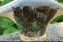 Cheddar Cliffs England Souvenir Ceramic Mini Basket Early 1900's