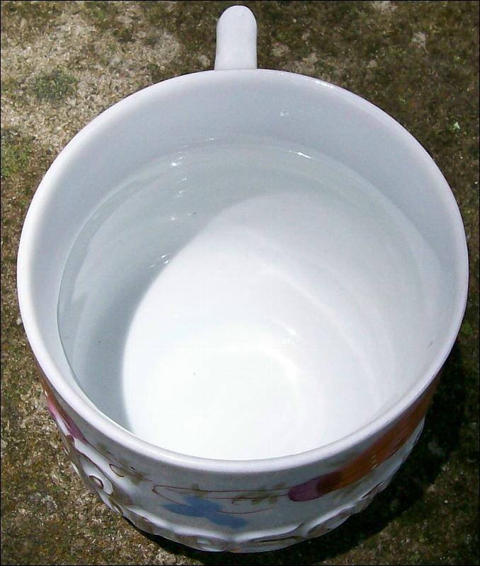 German Porcelain Mug Embossed