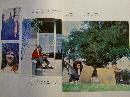 Yearbook: 1964 Florida Southern College, Lakeland