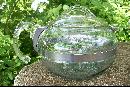 Pyrex Flameware