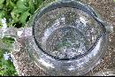 Pyrex Flameware