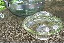Pyrex Flameware