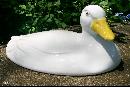 Hall China Carbone Duck Lid for Casserole #103