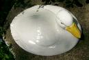 Hall China Carbone Duck Lid for Casserole #103