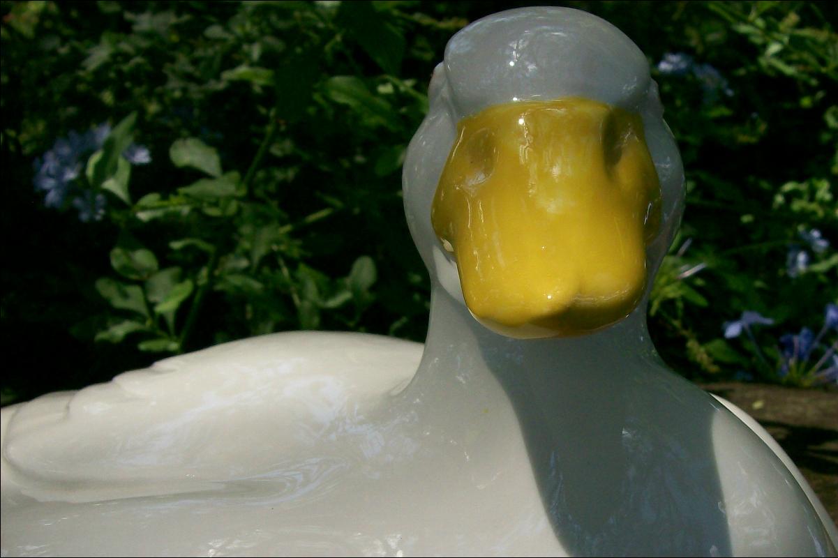 Hall China Carbone Duck Lid for Casserole #103