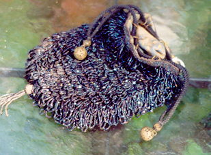 Beaded Drawstring Purse- Early 1900's
