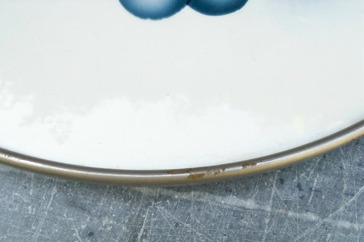 German Graniteware Handled Tray: Fruit Decoration
