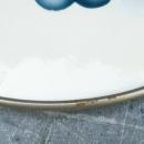 German Graniteware Handled Tray: Fruit Decoration