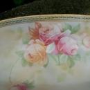 JSV Germany Porcelain Celery Dish Johann Seltmann Bavaria 1900-10 Roses