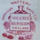 Woods