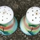 Japanese Landscape S&P Shakers