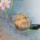 Klingenberg Limoges Porcelain Clam Plate Hand-Painted Late 1800's 9