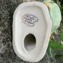 Novelty S&P Holder: Tropical Tree