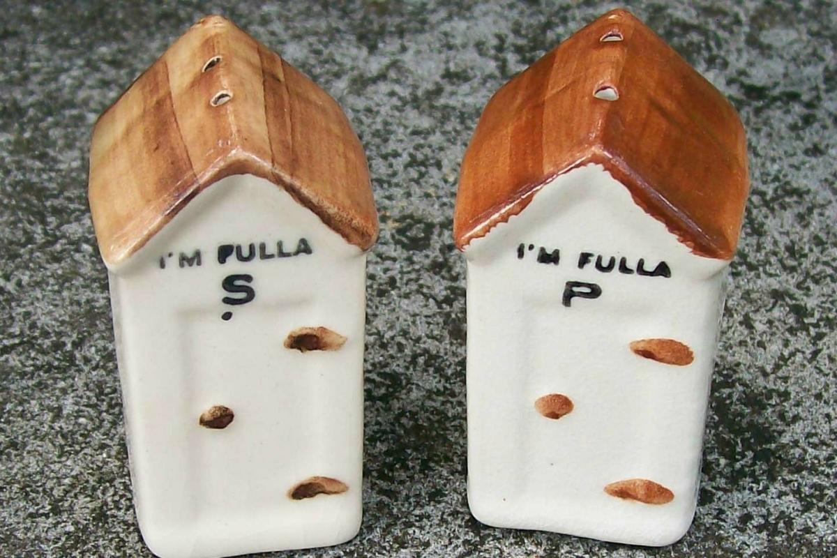 Novelty S&P Shakers: Outhouses