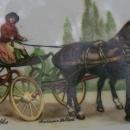 George Stubbs Horse & Carriage Ceramic Plate Amsterdam Souvenir 7.75