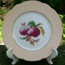 Haviland Limoges Fruit Plate: Ca. 1880