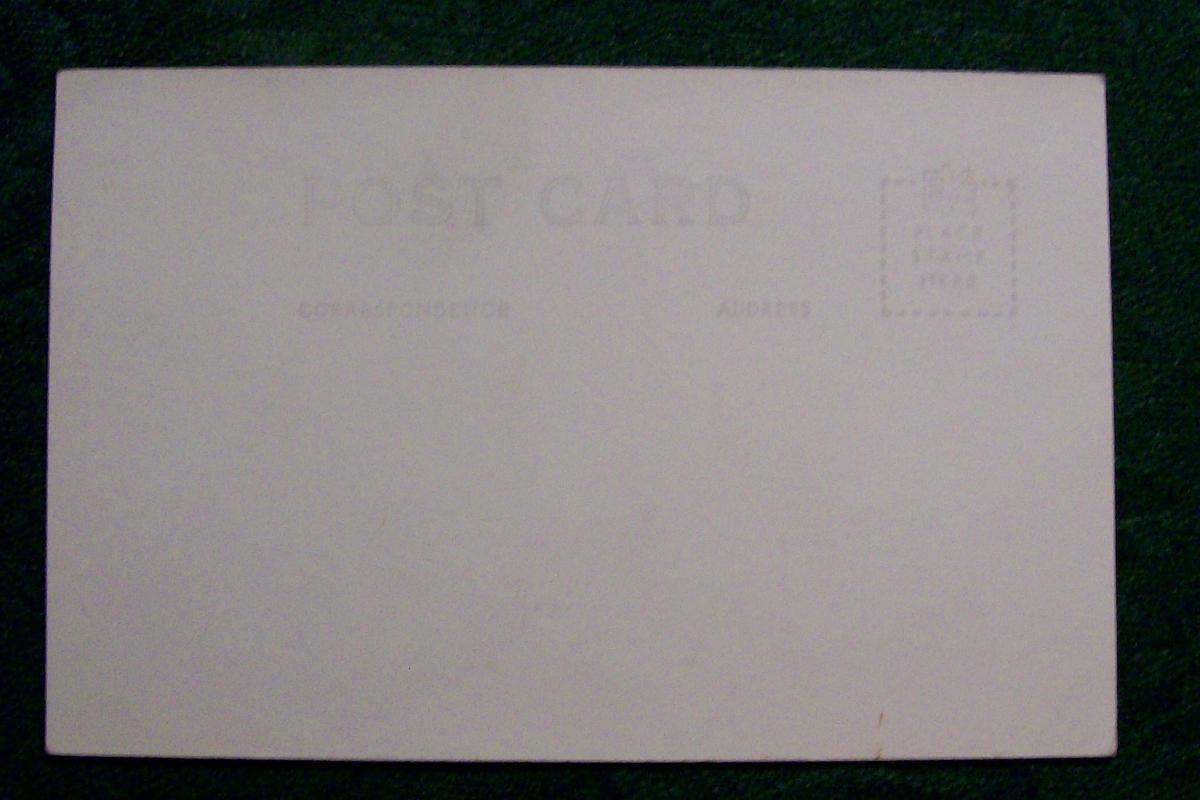 Circus Freak Postcard Fischers The Biggest Couple Late 30's-48 Black & White Photo