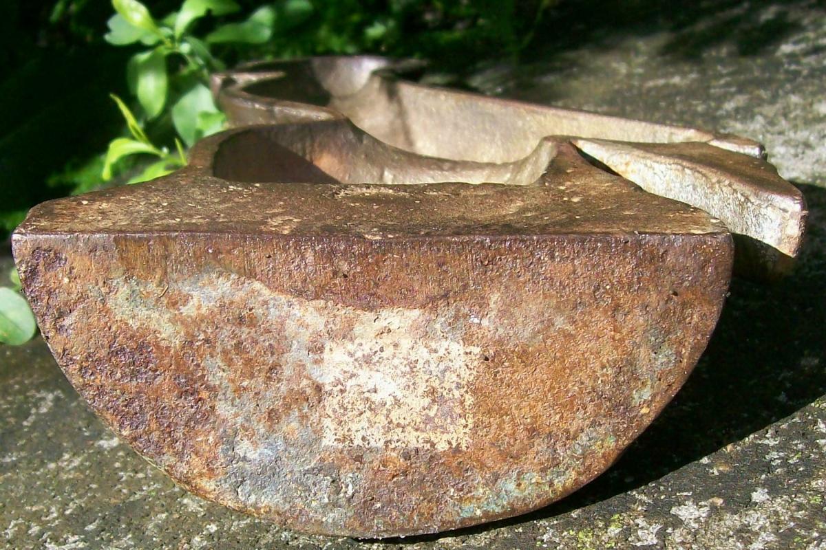 Cast Iron Cockatoo Door Stop with Bronze Finish