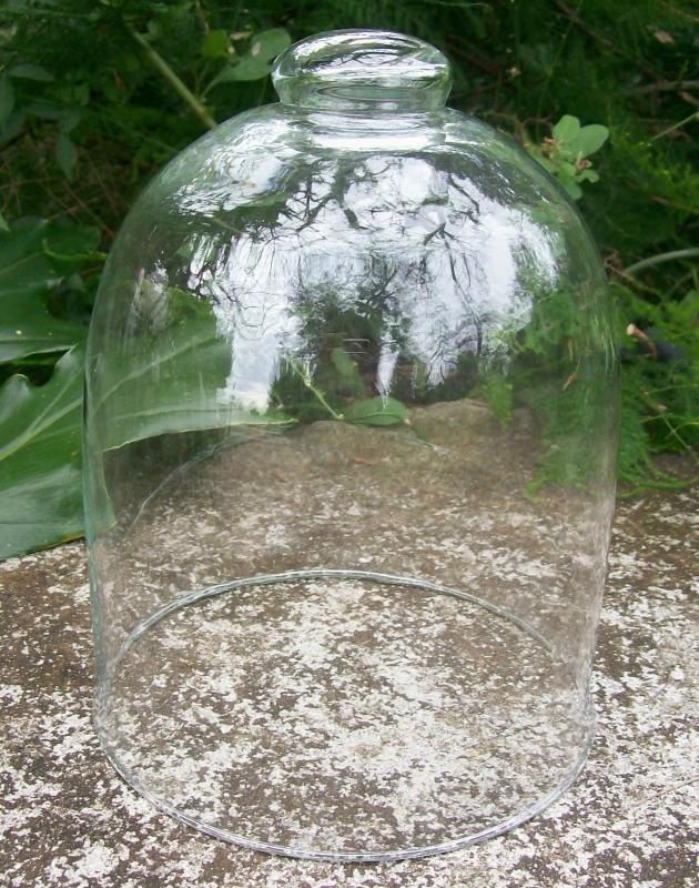 Bell Jar Cloche Dome: 1800's