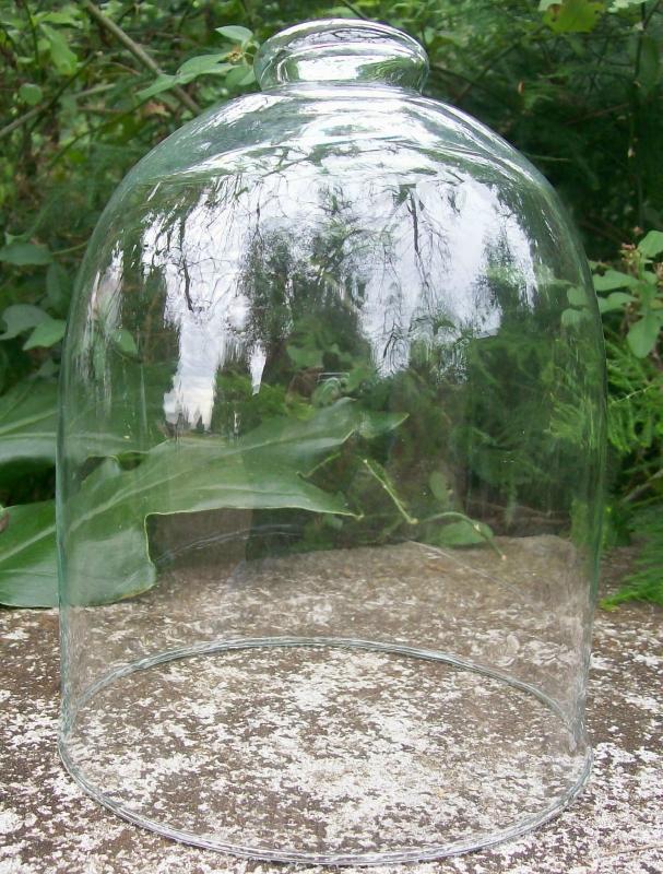 Bell Jar Cloche Dome: 1800's
