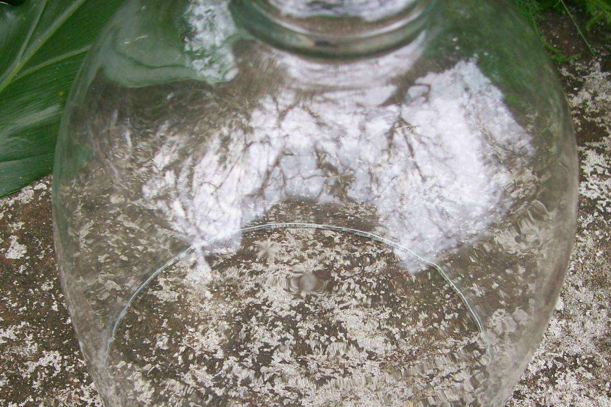 Bell Jar Cloche Dome: 1800's