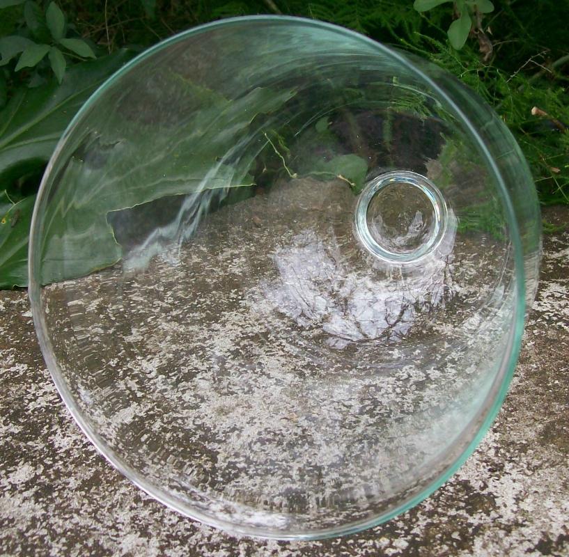 Bell Jar Cloche Dome: 1800's