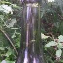 Hock Wine Bottle: Olive Green Turn-Mold