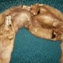Triple Mink Fur Wrap: Heads & Tails: 1940's-50's Red-Brown