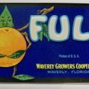 Florida Citrus Label