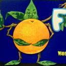 Florida Citrus Label