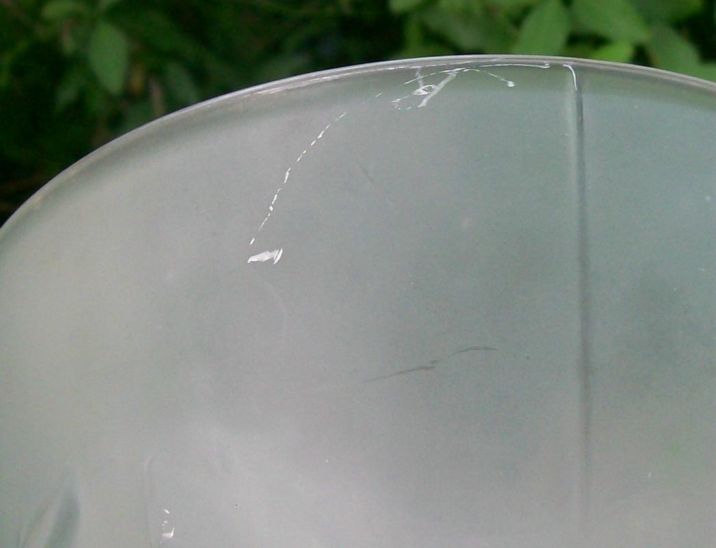 Weil Czechoslovakian Satin Glass Vase with Iris Pattern 9 7/8
