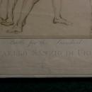 Ottley Intaglio Print: Italian Masters 1812 Rafael