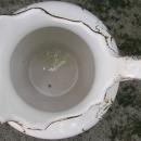 New Jersey Pottery Co. Pitcher: 1869-83 Trenton