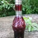 Victorian Bohemian Glass Ruby-cut-to-clear Shaker for Castor Set