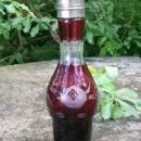 Victorian Bohemian Glass Ruby-cut-to-clear Shaker for Castor Set