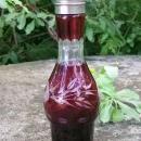 Victorian Bohemian Glass Ruby-cut-to-clear Shaker for Castor Set