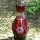 Victorian Bohemian Glass Ruby-cut-to-clear Shaker for Castor Set