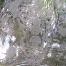 Cambridge Glass