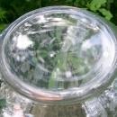 Cambridge Glass