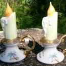 Florida Souvenir Ceramic Salt & Pepper Shakers Colonialware Flaming Candlesticks