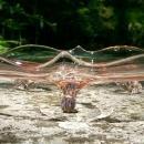 Lancaster Pink Depression Glass Cupped Plate: