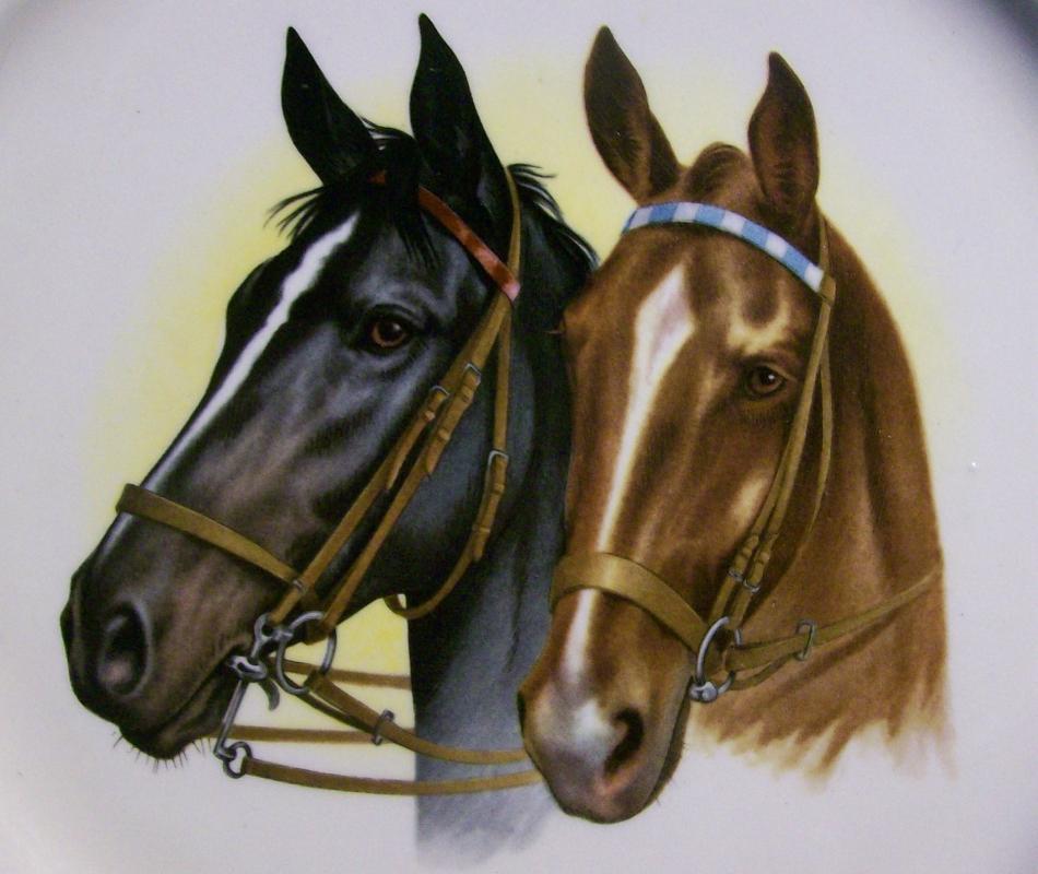 Horse Decal Ceramic Plate Taylor, Smith & Taylor
