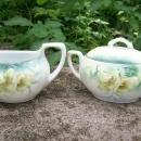 R. S. Germany Porcelain Cream & Sugar Set Ca. 1900 Green & White Poppies