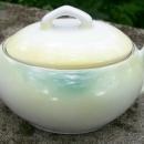R. S. Germany Porcelain Cream & Sugar Set Ca. 1900 Green & White Poppies