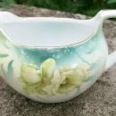 R. S. Germany Porcelain Cream & Sugar Set Ca. 1900 Green & White Poppies