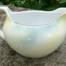 R. S. Germany Porcelain Cream & Sugar Set Ca. 1900 Green & White Poppies