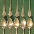 Wallace Astoria Silver-Plate Orange Spoon Set of 10 Ca. 1898 Monogram S