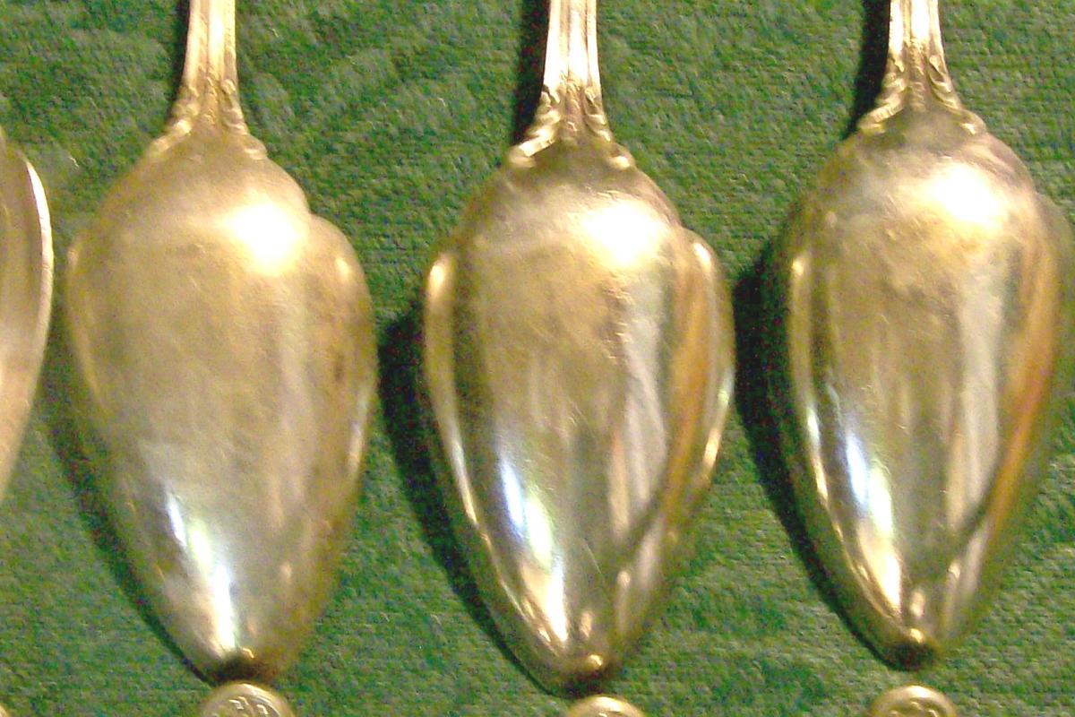 Wallace Astoria Silver-Plate Orange Spoon Set of 10 Ca. 1898 Monogram S